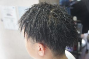 DSC01761