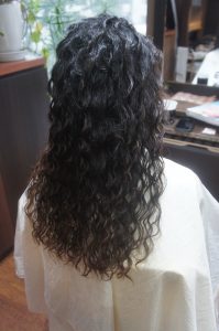 DSC04648